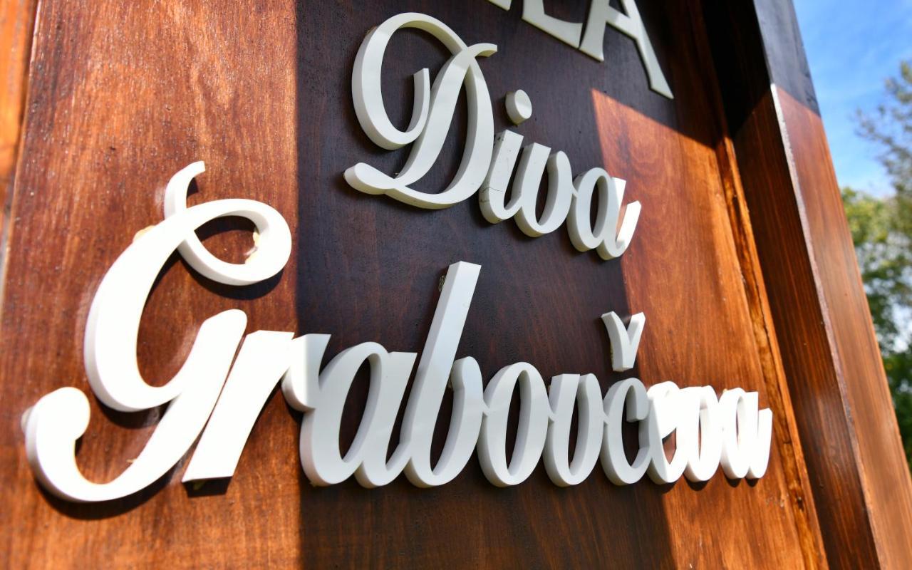Villa Diva Grabovceva Rakovica Zewnętrze zdjęcie